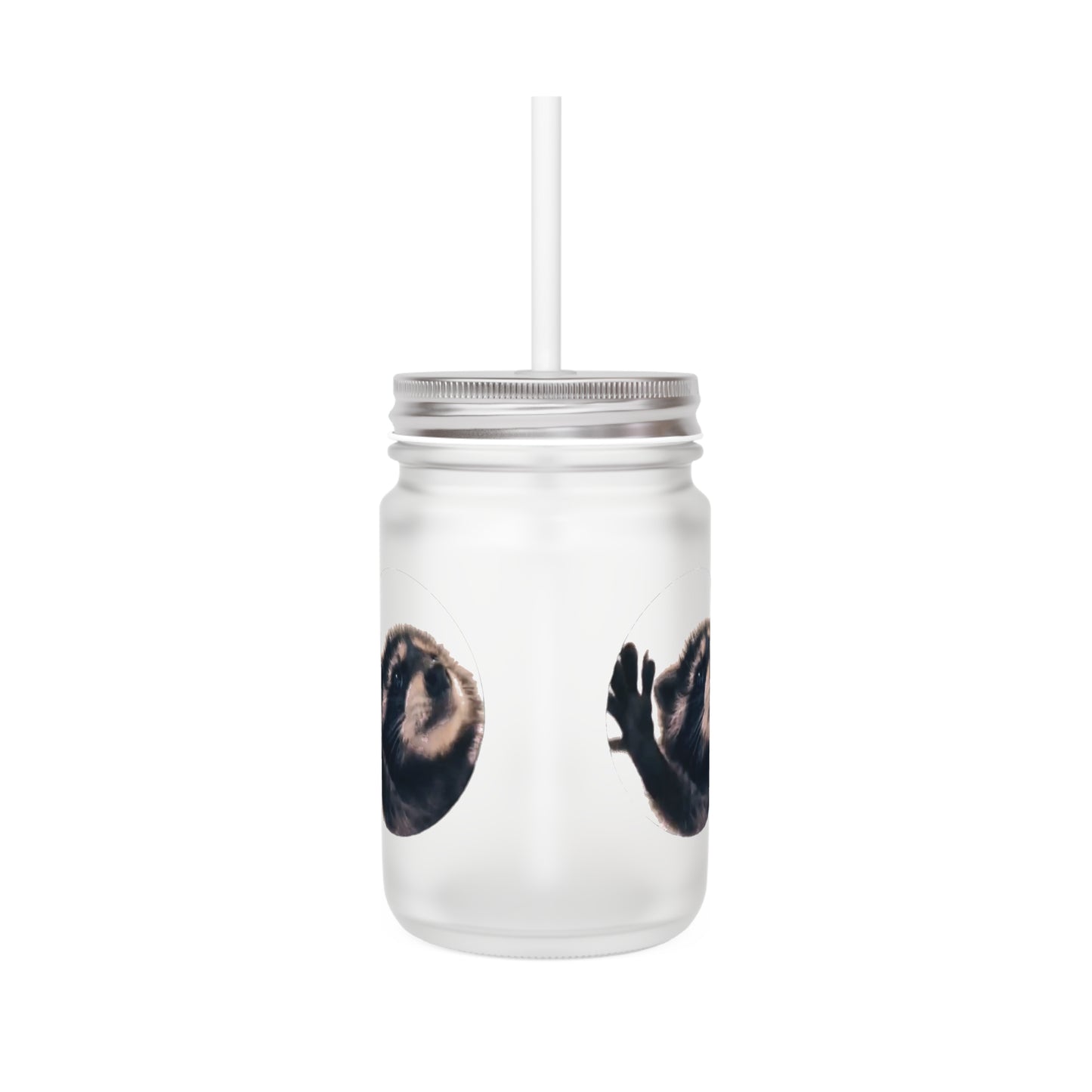 Pedro Raccoon Mason Jar