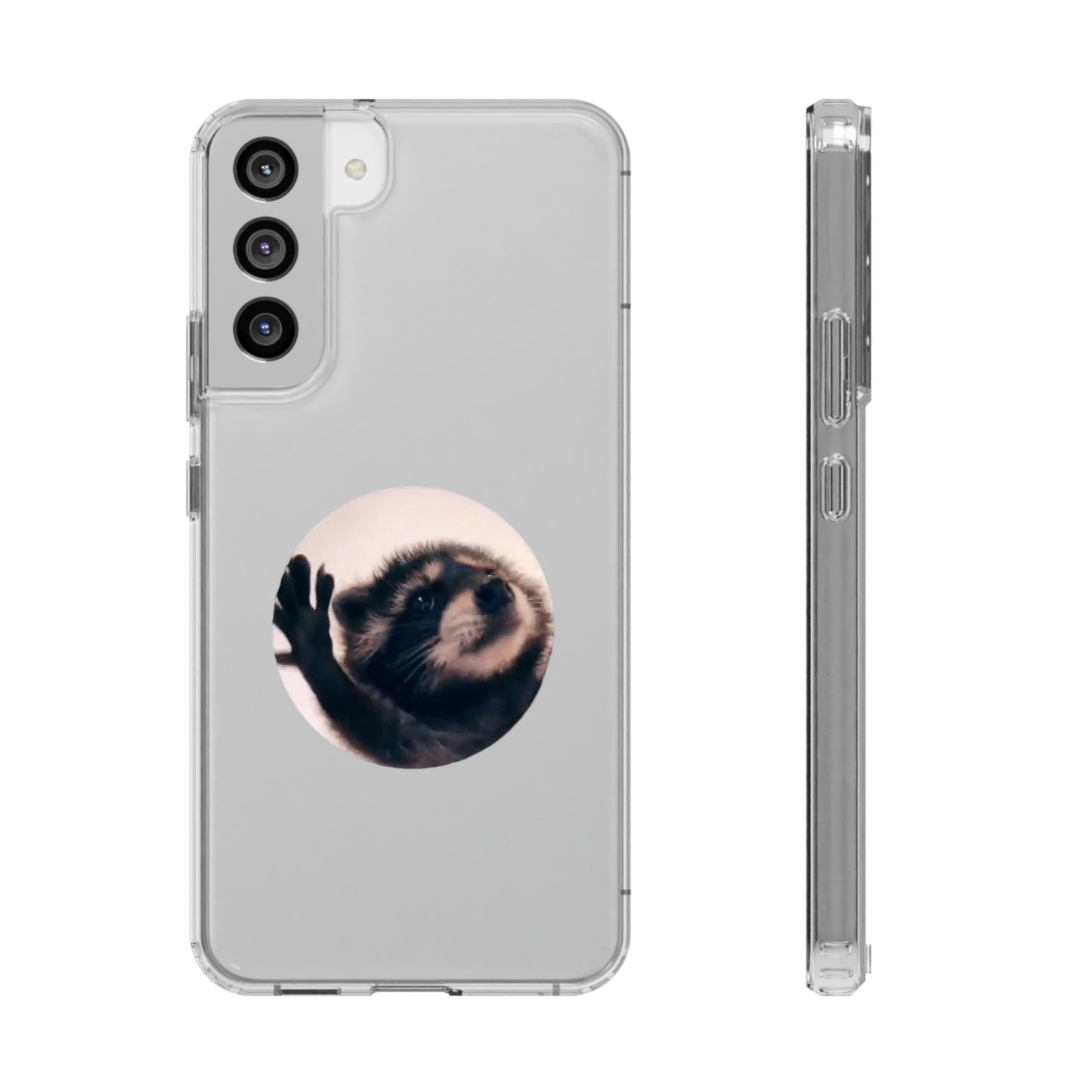 Pedro Raccoon Clear Cases