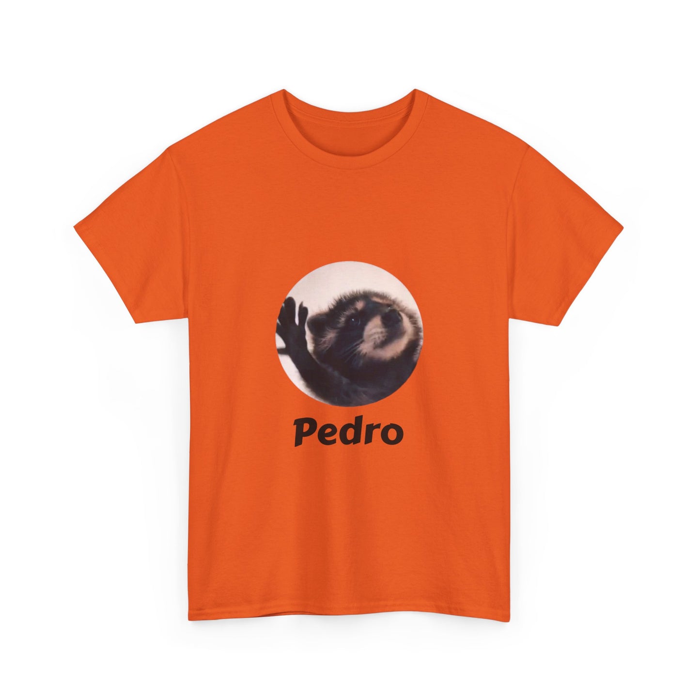 Pedro Raccoon Unisex Heavy Cotton Tee