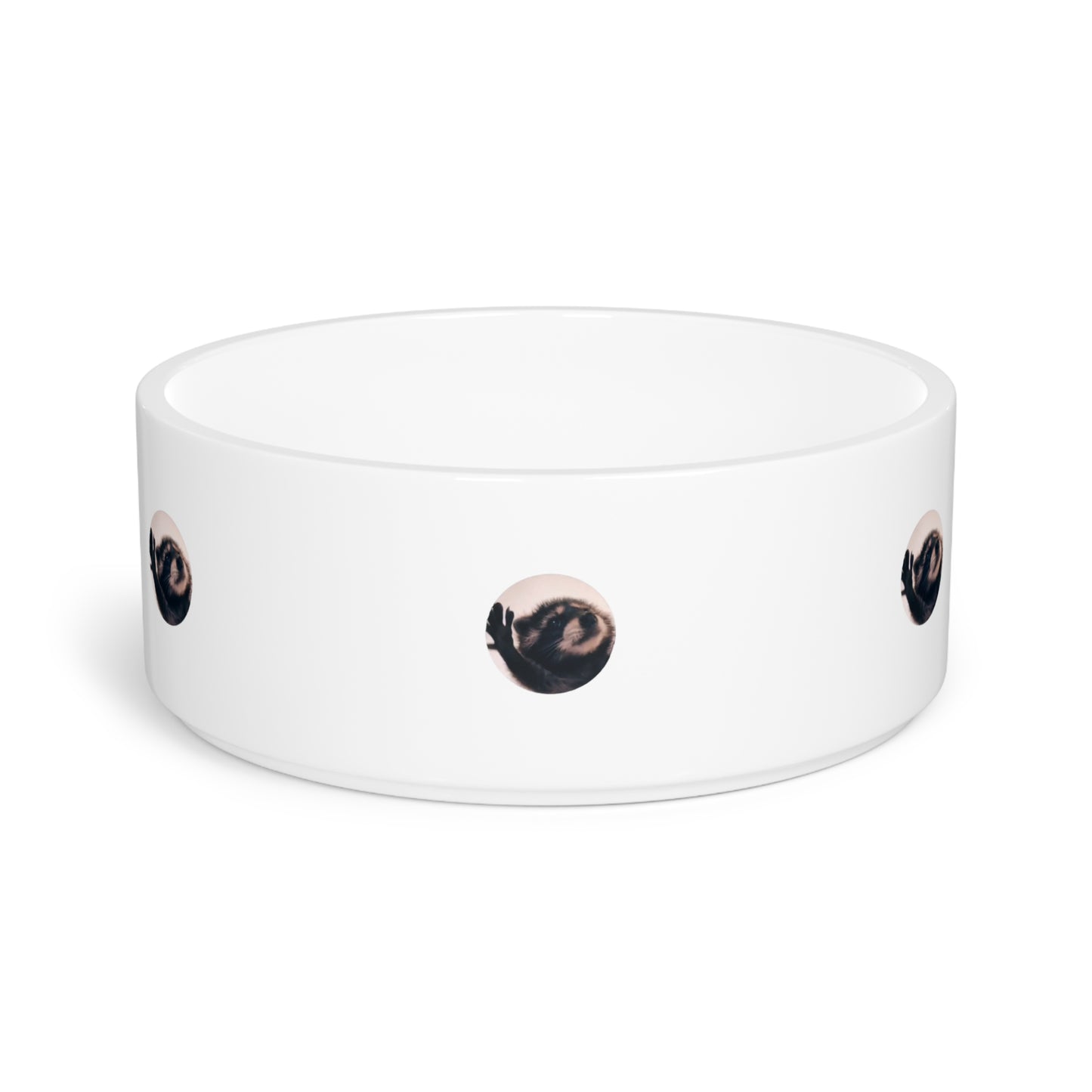 Pedro Raccoon Pet Bowl