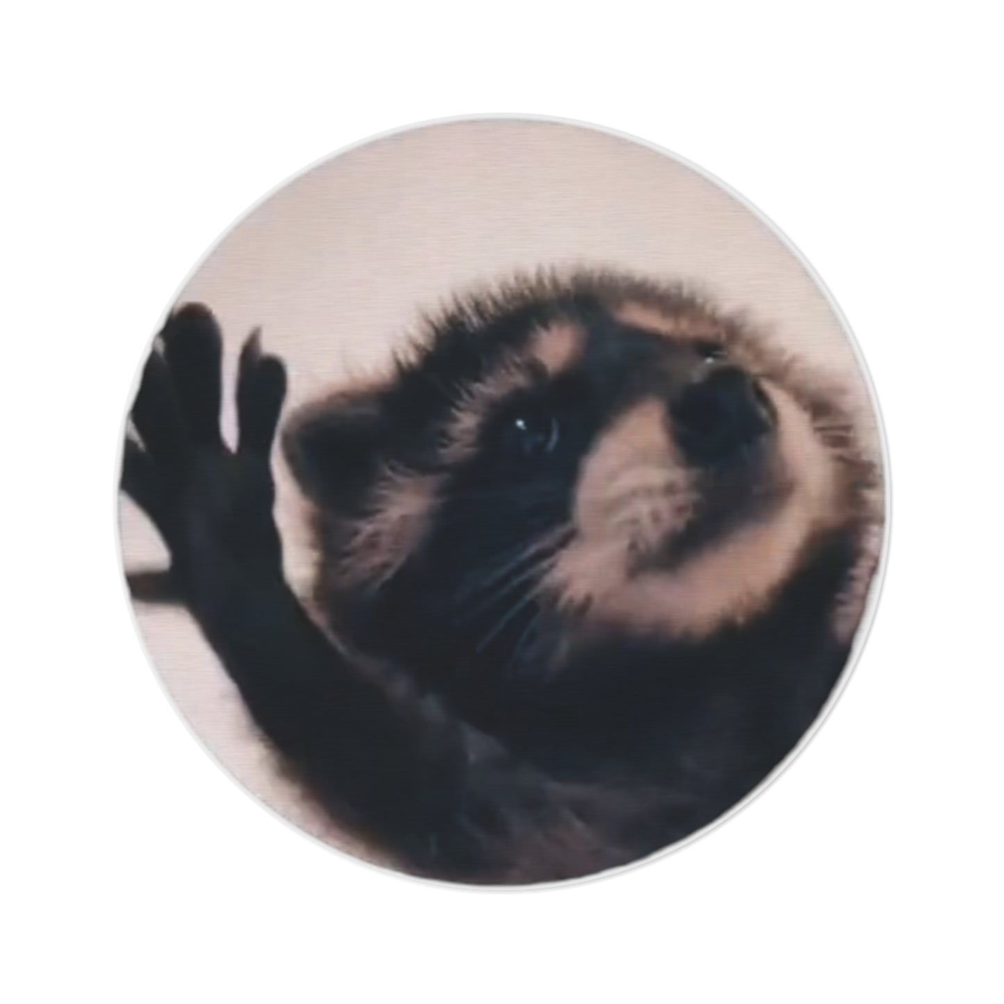 Pedro Raccoon Round Rug