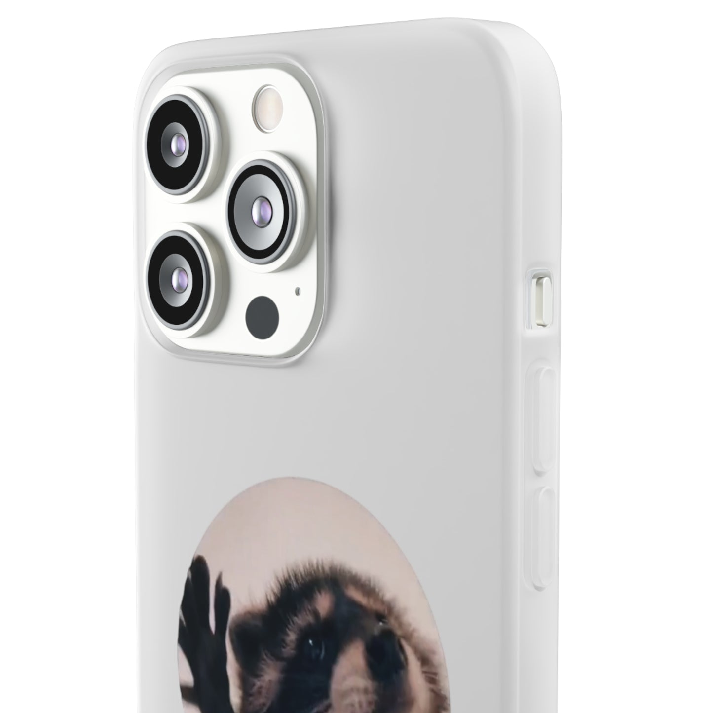 Pedro Raccoon Flexi Cases