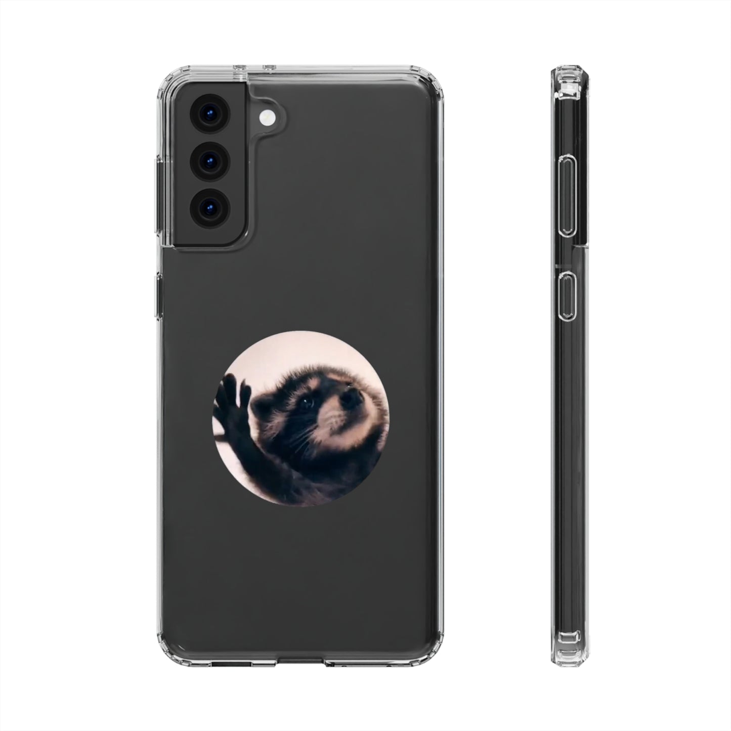 Pedro Raccoon Clear Cases