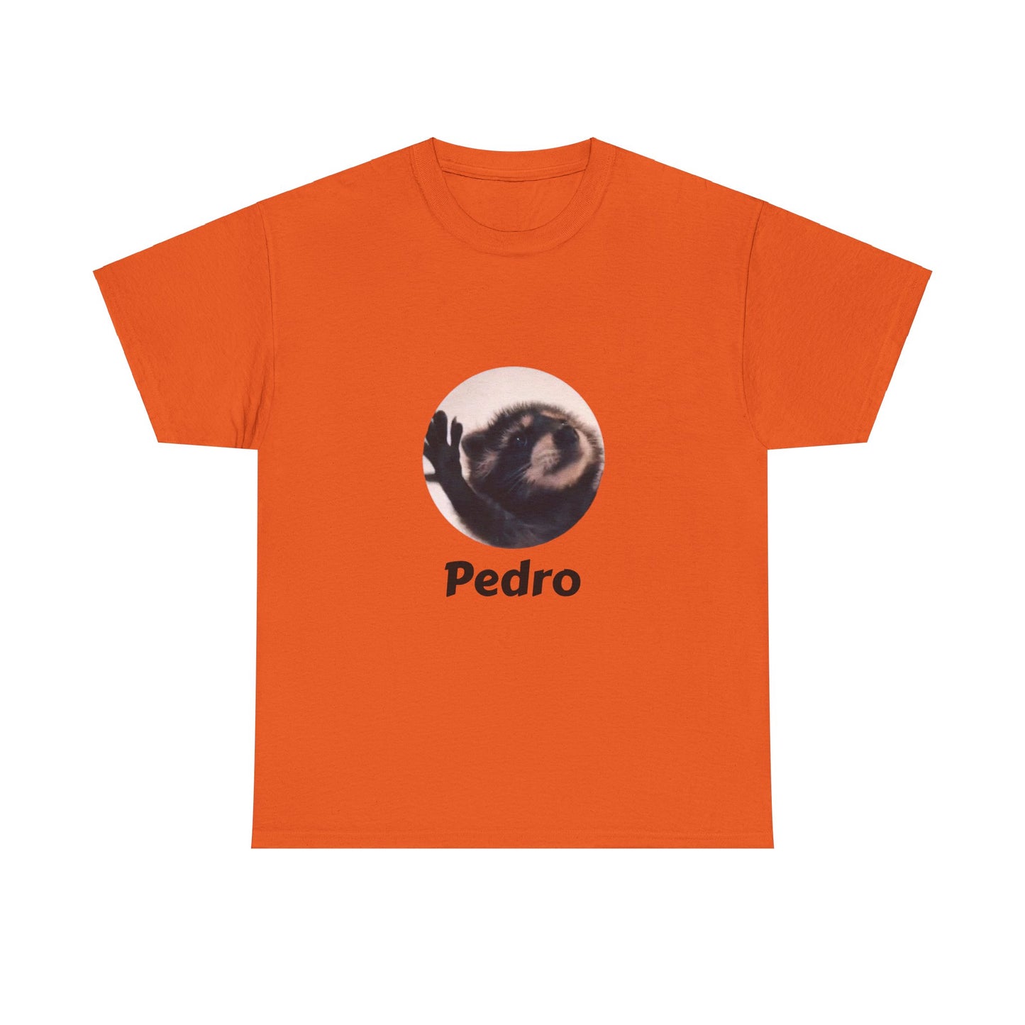 Pedro Raccoon Unisex Heavy Cotton Tee