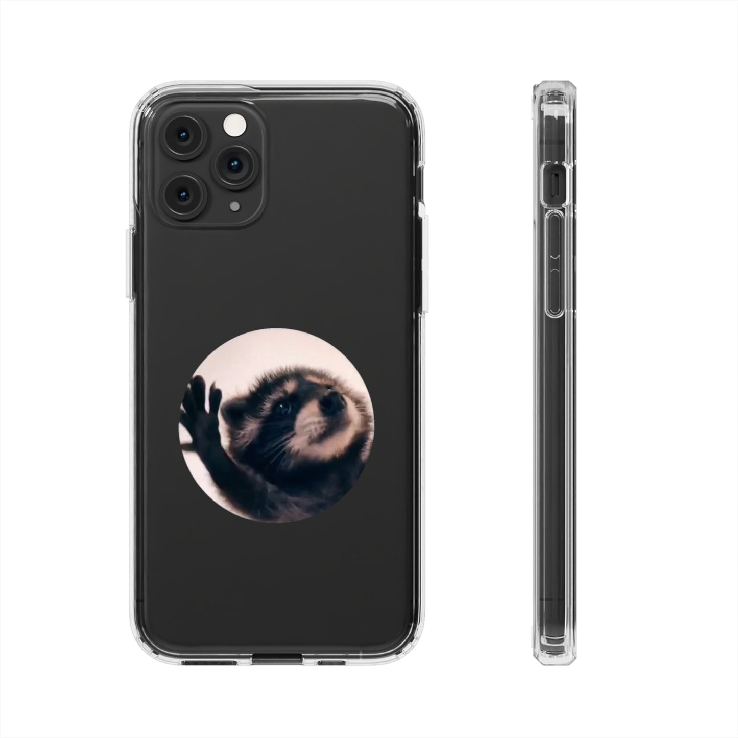 Pedro Raccoon Clear Cases