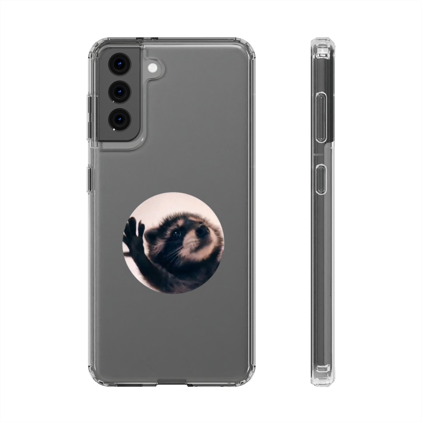 Pedro Raccoon Clear Cases