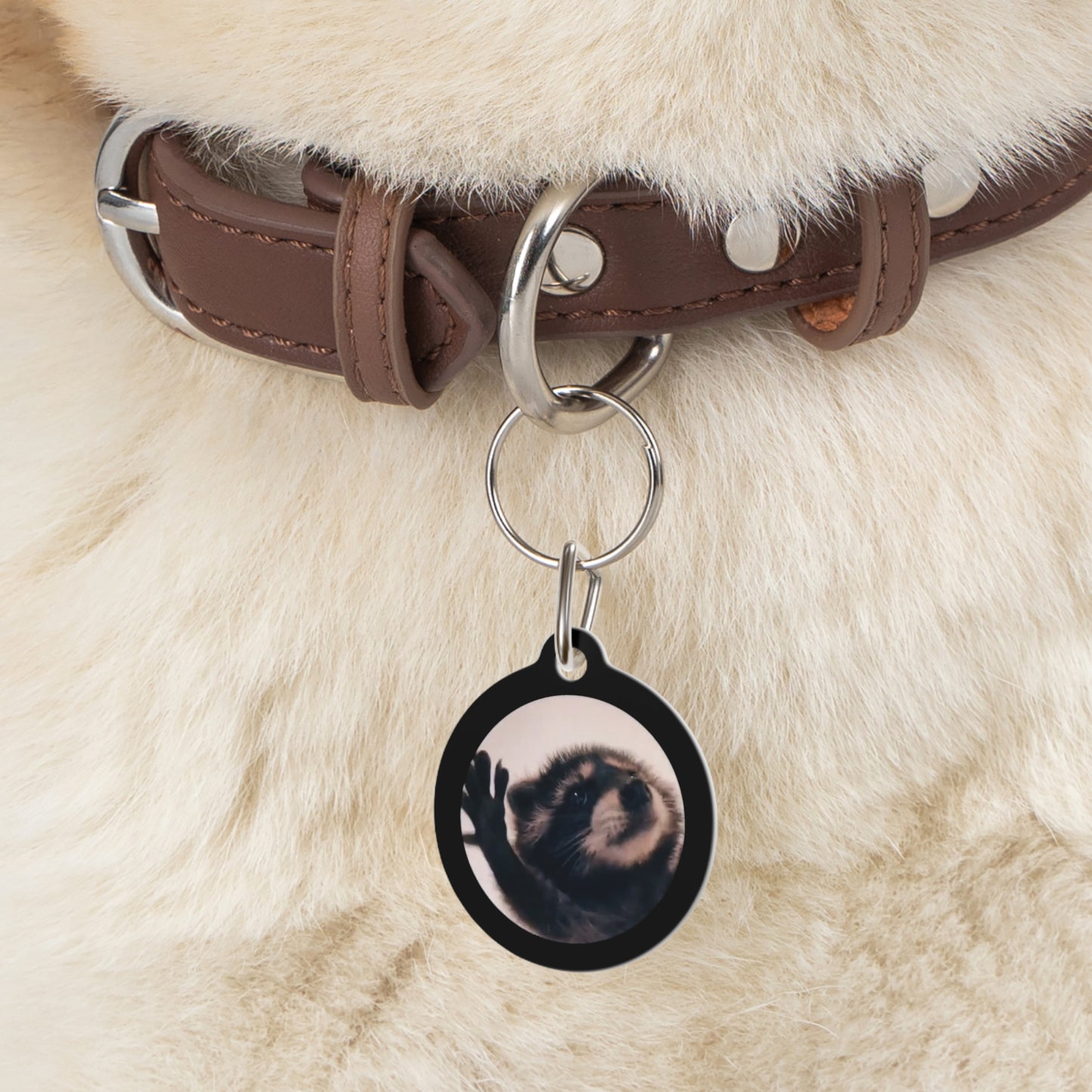 Pedro Raccoon Pet Tag