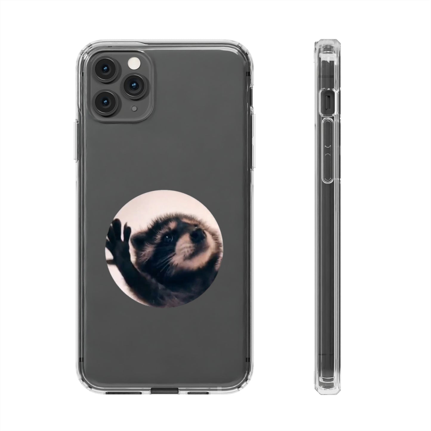 Pedro Raccoon Clear Cases