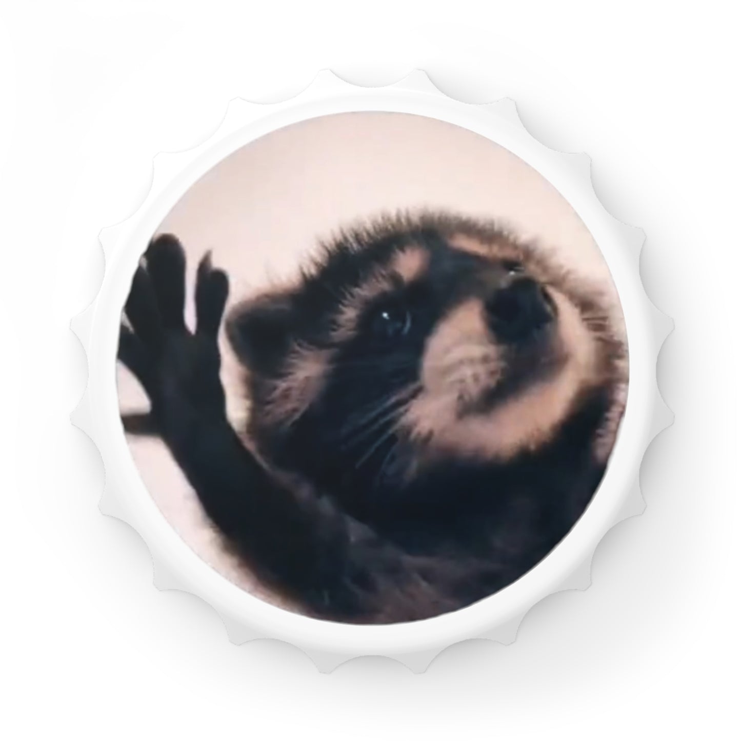 Pedro Raccoon Bottle Opener